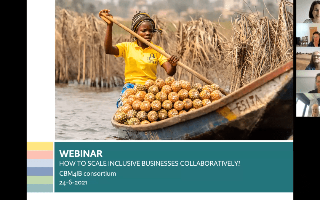 Webinar: how to scale inclusive businesses collaboratively in a BoP context?